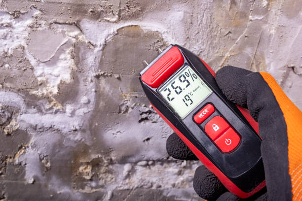 Best Mold Remediation Services  in Parrish, AL