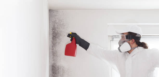 Best Home Mold Removal  in Parrish, AL
