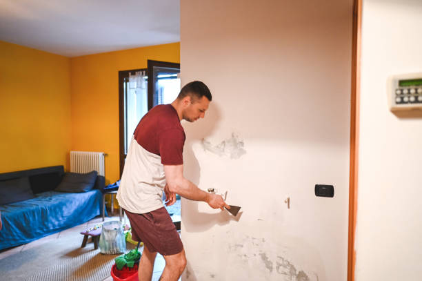Best Mold Removal Specialists  in Parrish, AL
