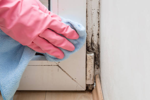 Best Mold Cleaning Services  in Parrish, AL
